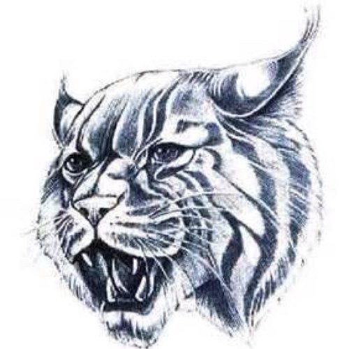 msharpton's profile picture. 