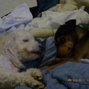 julia samuel - @jack88910 - Twitter