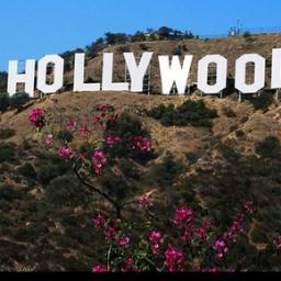 The /new/ Celebs RPG. DM/tweet us for a role as any celebrity. Taken roles in our favorites.