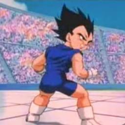 Names Vegeta Jr. Great, great Grandson of Vegeta and Bulma. I'm 13 years old and I can go blonde. Anyways what are you wearing, rags?