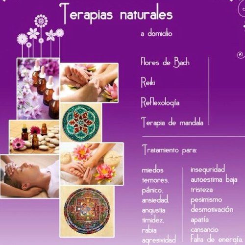 Terapias Naturales, Flores de Bach, Reiki, Reflexologia y Masaje Terapeutico. 
gabriela.bolbaran@gmail.com