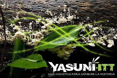 Ayúdanos a proteger uno de los lugares más biodiversos del planeta. Help us save Yasuni,The Most Biodiverse Forest on Earth