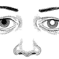 Trachoma is an infectious disease caused by the Chlamydia trachomatis bacterium which produces a characteristicroughening of the inner surface of the eyelids.