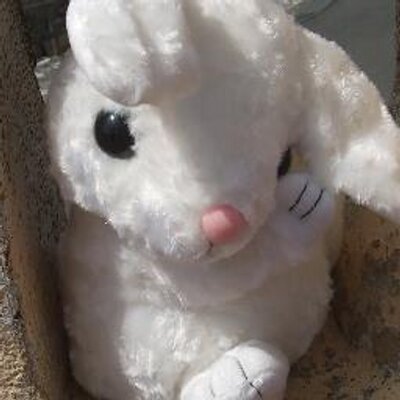 ♥♡かぉたぉ♡♥