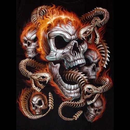 GhostAssassins_'s profile picture. 