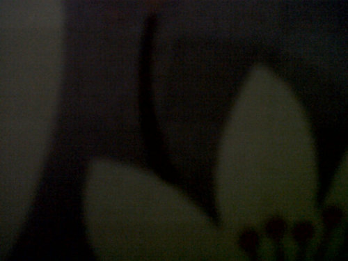 ncie_mumu's profile picture. 