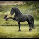 Denise Duguay - @mlddjkr - Twitter