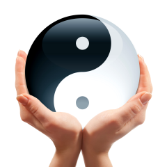 SBHolistic's profile picture. Exeter-based Massage Made to Measure.  Integrating holistic therapeutic massage, holistic sports and remedial massage, deep tissue massage and aromatherapy.