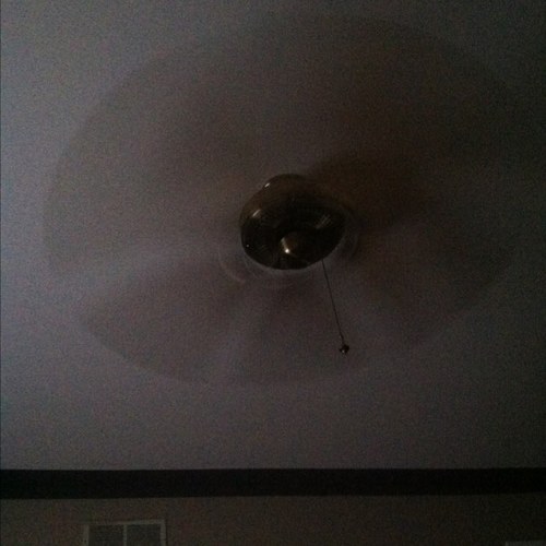 LexWilliamG's profile picture. IM ONLY 13