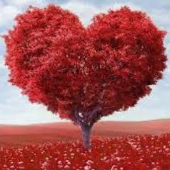 amohankumar4955's profile picture. BE