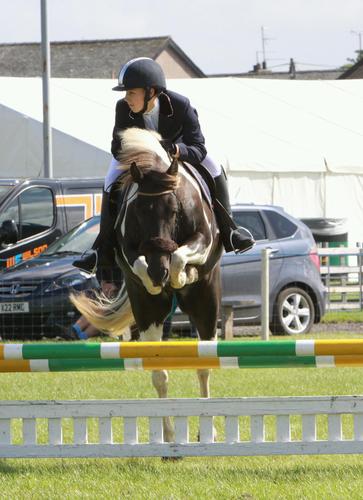 KayJohnston4's profile picture. showjumper based in south west Scotland. compete two ponies and working on young stock. sponsored by animalife