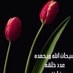 intissar💗 (@kuwaitvictory) Twitter profile photo