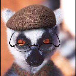 LemursAlarm Profile Picture