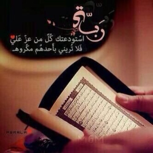 اللهم اغفر للمسلمين والمسلمات والمؤمنين والمؤمنات الاحياء منهم والاموات اللهم اجعل قبور المسلمين روضة من رياض الجنة امين