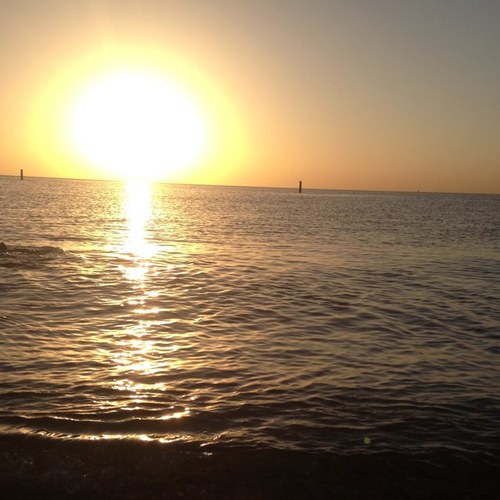 0_presteg's profile picture. تغريني أشيائك وأتوه بمعانيك واقرا تفاصيلك وبعضك و كلّـك طموحي أستحوذ على كل مافيك أنا معاك أشعر بحب التملك فديتك