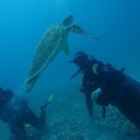 helen doyle - @helendoyle9 - Twitter