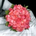 خطابه النماص وابها (@mmmno1122) Twitter profile photo خطابه النماص وابها (@mmmno1122) Twitter profile photo
