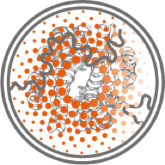 Molecular and Cellular Neuroscience of C. elegans. We love ion channels, CRISPRing genomes, lighting up worms.