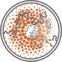 The Boulin Lab (@boulin_lab) 's Twitter Profile