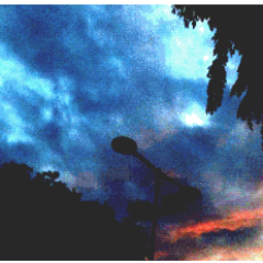 CarmelJoseph77's profile picture. 