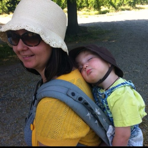 Wife to Stephen. Eastern Orthodox convert. Homeschooling, crafty, writer mama to Jillian, Ethan, Henry and Peter.