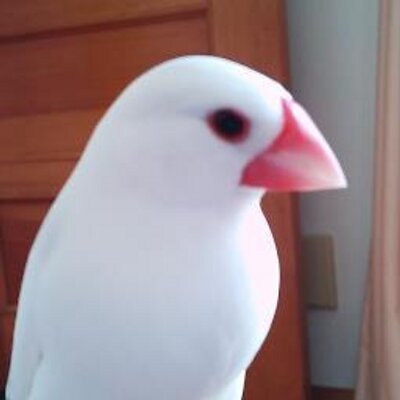 ゆっち