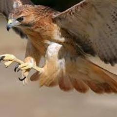 @ClubeFollowBack