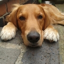 Berta Toth - @BertaT007 - Twitter