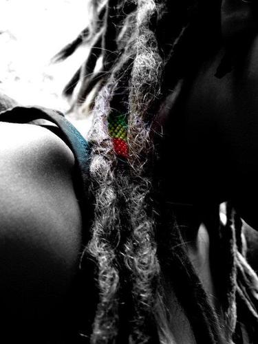 Reggae a vida com amor...
Encontre a liberdade...
Aprendendo que se ensina...
Você me encantou demais...
Não perca as crianças de vista...
Caminho da luz..