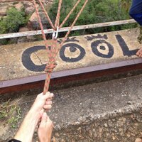 Swazi Trails (@swazitrails) Twitter profile photo