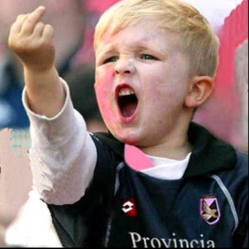 nicholastomasel's profile picture. Non ragioniam di lor, ma guarda e passa.