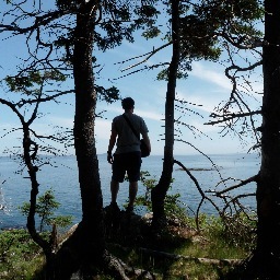 GDunzino's profile picture. 