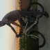 vedat badur (@badur62) Twitter profile photo