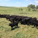 Rick Larson - @Ricklarson69 - Twitter