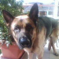 Matteo Sandrin (@matteosandrin1) 's Twitter Profile