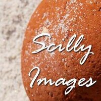 IslesOfScillyPhotos (@scillyimages) 's Twitter Profile
