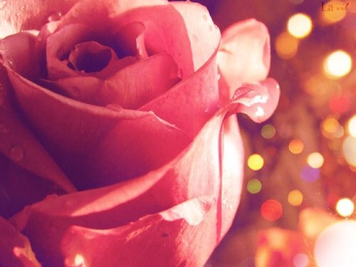 beautyblog_girl's profile picture. 