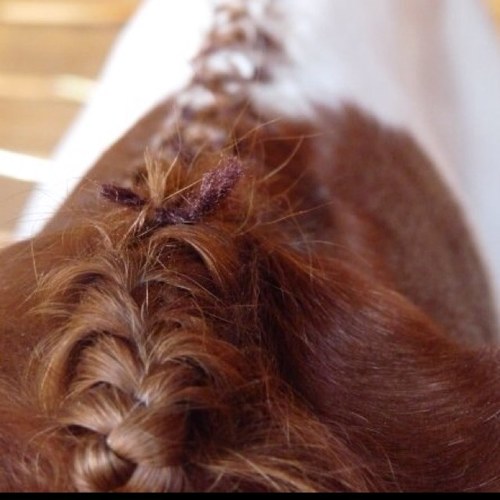 ponyproblems_'s profile picture. #horsegirlprobs #ponyproblems