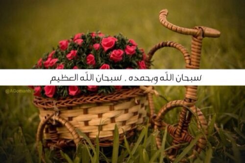 سبحان الله وبحمده سبحان الله العظيم