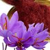 SaffronWorldSellers (@worldsaffron) Twitter profile photo