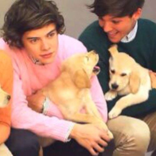 △ o que eu fiz pra merecer ser Narry girl? △