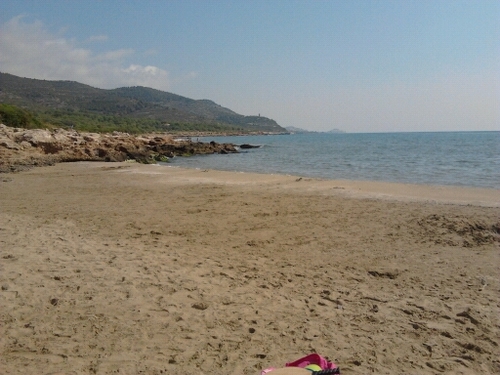 rakelynerea's profile picture. 