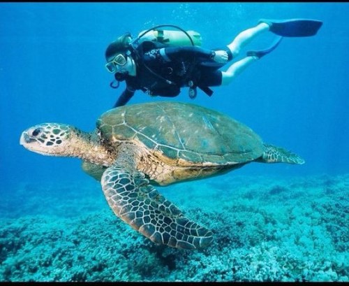 stephbev13's profile picture. Crazy lady, Good heart!!! Love, live, laugh, help others, be silly...... life is too short!!! carpe diem!!!