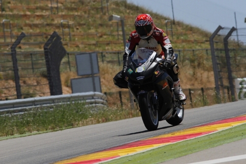 rol_65's profile picture. 