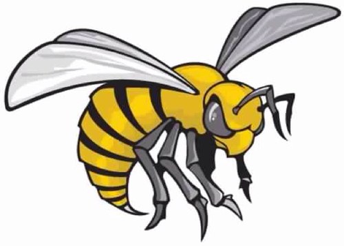 #myASU SGA Street Team official page... keeping you updated on all the upcoming events. We are the hype team and marketing branch of the SGA.