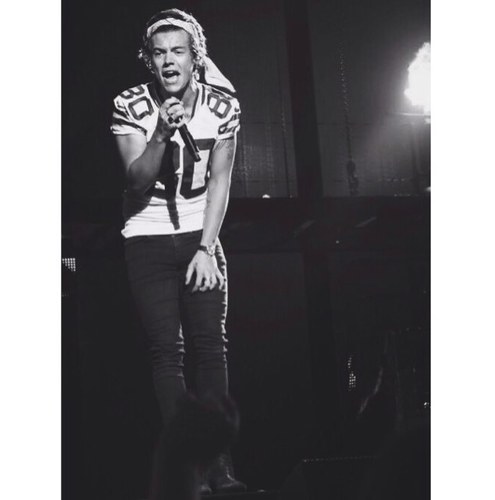 this is a free follow from @niallstwerking so can you follow her please? it would be so nice ☼