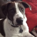 Tom OConnor - @LickMyLemons - Twitter