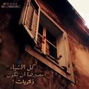 Mnoor (@05_mnoor) Twitter
