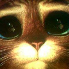 Soy un ser humano como los demás con virtudes y defectos, soy buen amigo y buen hijo y muy responsable, odio que maltraten a l@s niÑ@s y a los animales.