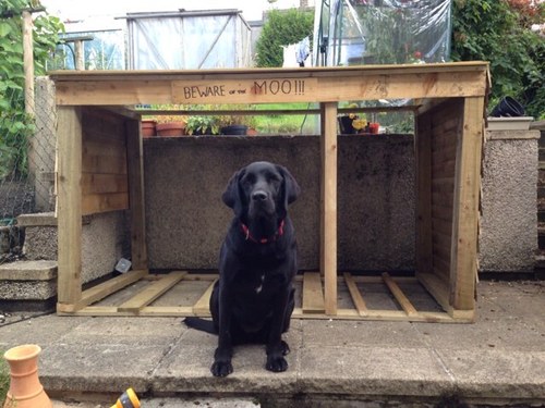 KevWigglepig's profile picture. taking cricket teas to a new level. Never compromise on curry! Let all dogs scurry.